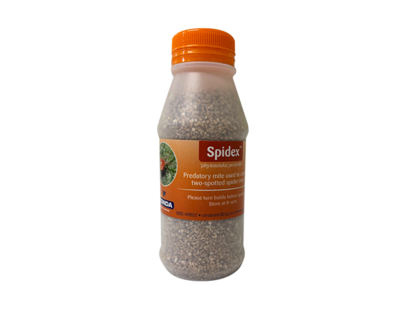 Spidex 300ml by Zonda