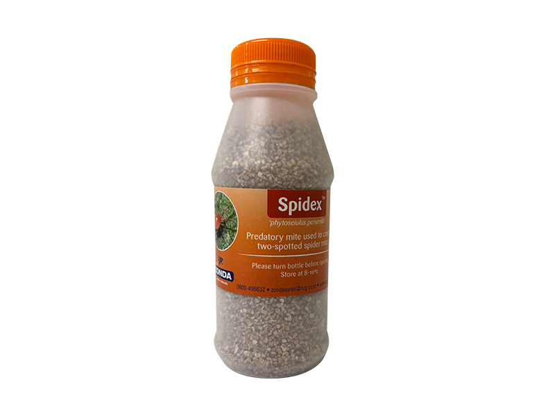 Spidex 300ml by Zonda