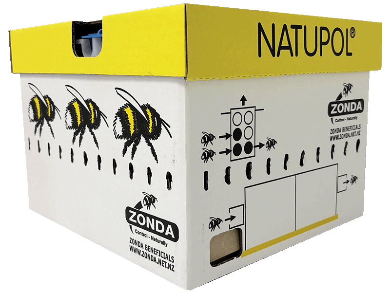 Zonda Beneficials Bee Hive