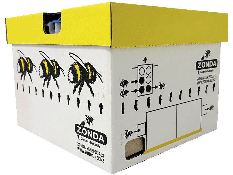 Zonda Beneficials Bee Hive